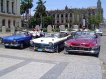 Familienurlaub Kuba - Kuba for family - Oldtimer in einer Reihe